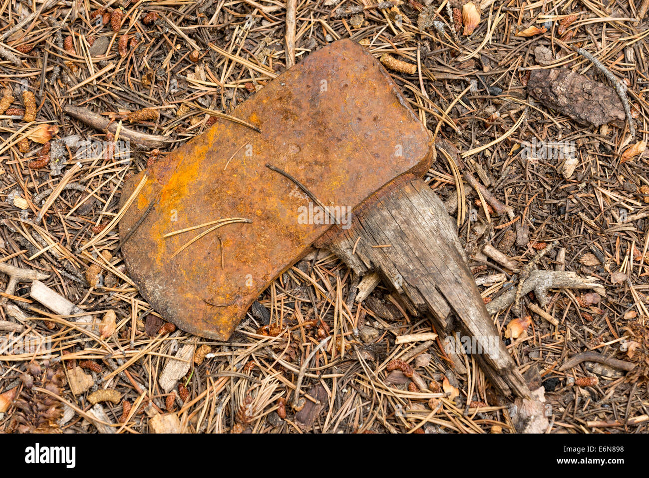 Broken axe on the ground at a campsite in the Wallowa Mountains, Oregon
