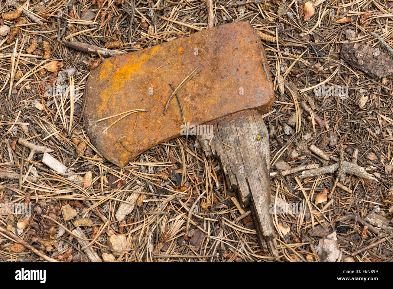 Broken axe on the ground at a campsite in the Wallowa Mountains, Oregon