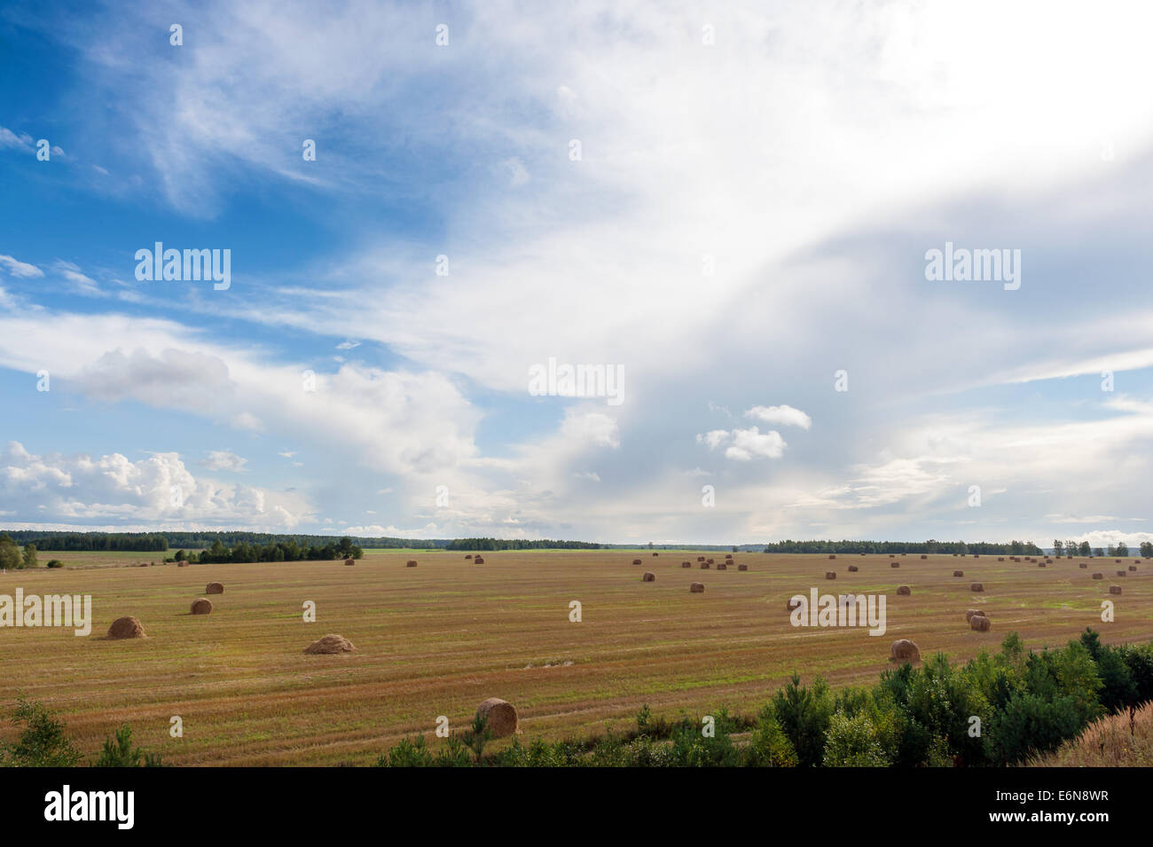 Field and clouds with hay bales Stock Photo - Alamy