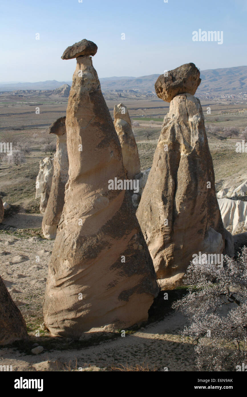 Fairy chimneys rock formations near the village of Causvin in Cappadocia, Central Anatolia, Turkey. Stock Photo