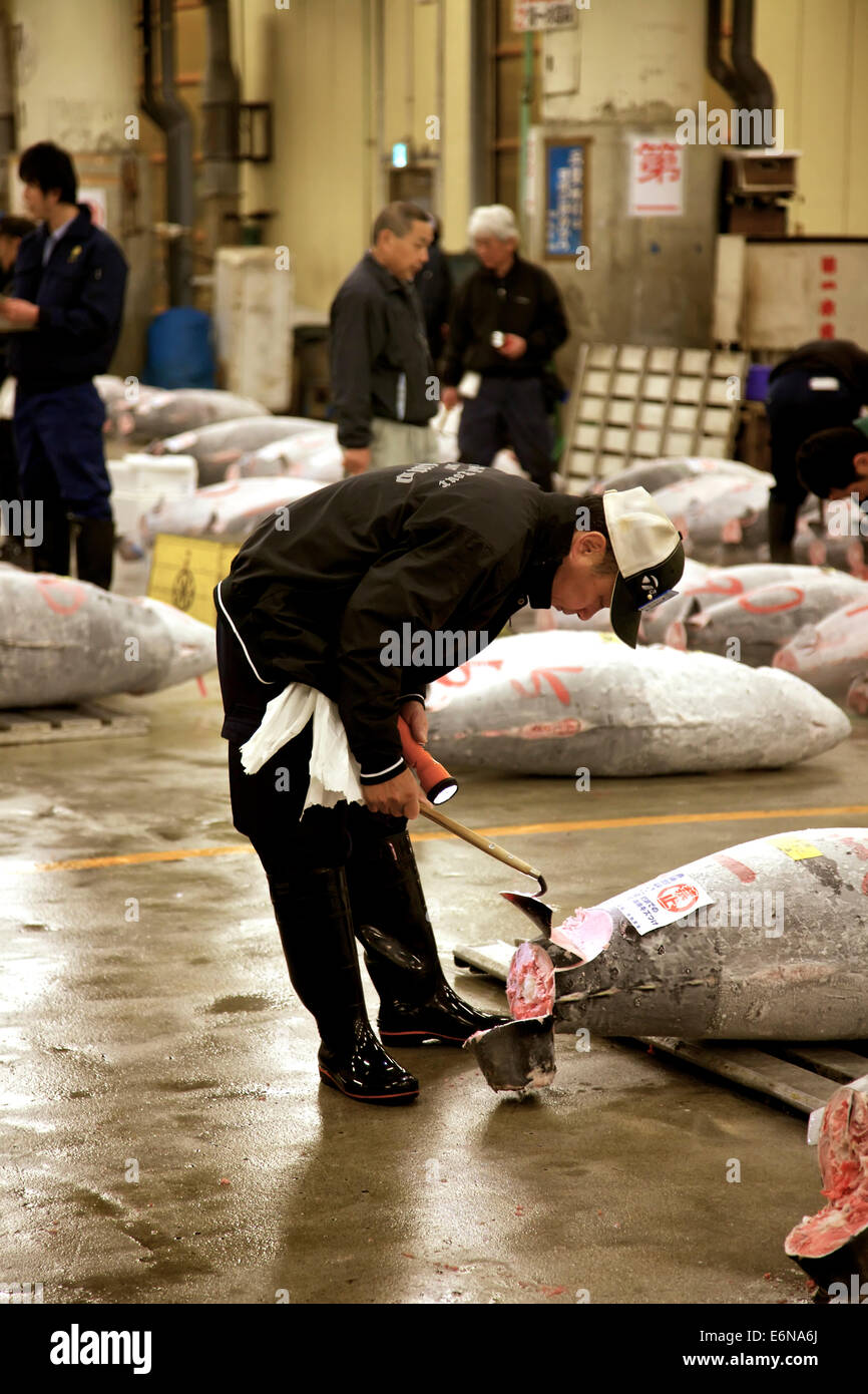 Tuna auction at Tsukiji fish market, Tokyo, Japan, Asia, the largest