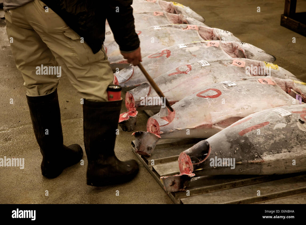 Tuna auction at Tsukiji fish market, Tokyo, Japan, Asia, the largest