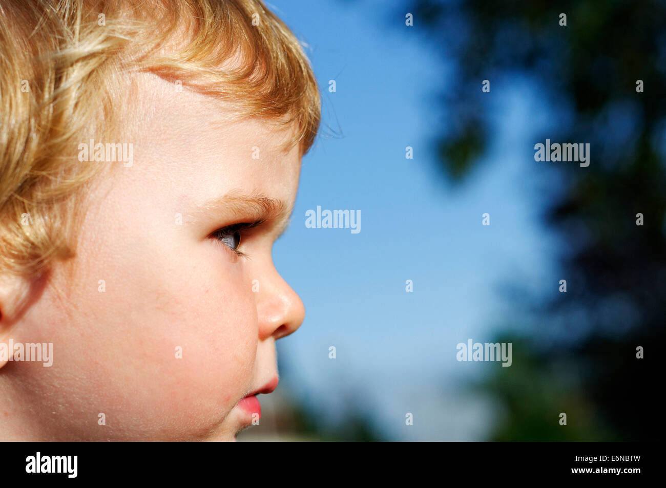 Portrait of a beautiful 2 yr old boy Stock Photo