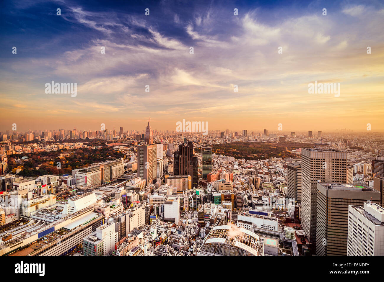 Tokyo, Japan city skyline at Shinjuku District. Stock Photo