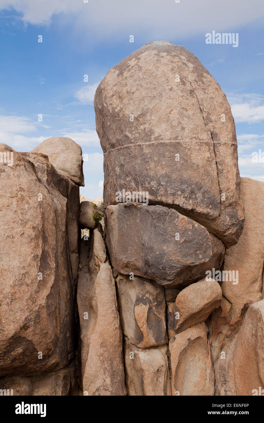 Large monzogranite boulder - Mojave desert, California USA Stock Photo