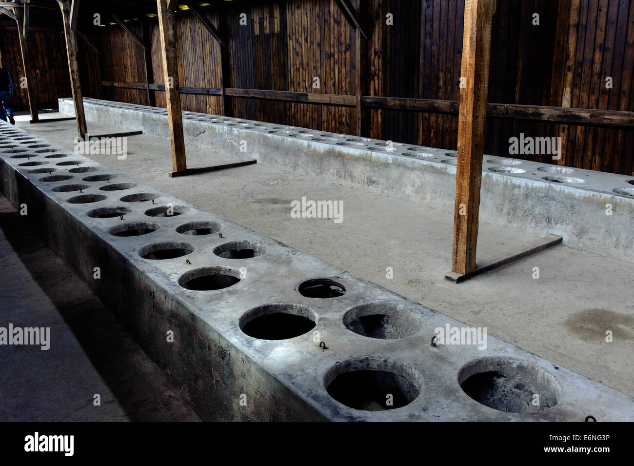Latrine in Concentration Camp Auschwitz-Birkenau,  Poland, Europe, UNESCO heritage site Stock Photo