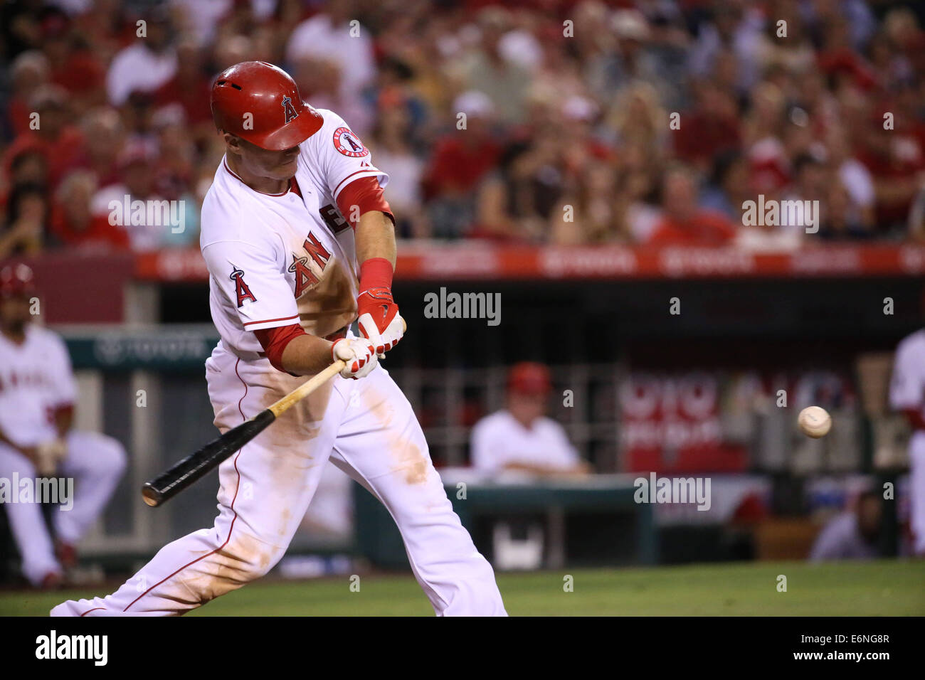 Anaheim, CA, I.E. USA. 27th Aug, 2014. August 27, 2014: Miami Marlins and Los Angeles Angels of Anaheim, Angel Stadium in Anaheim, CA. Mike Trout #27 blasts a long home run on the shot. Credit:  Peter Joneleit/ZUMA Wire/ZUMAPRESS.com/Alamy Live News Stock Photo