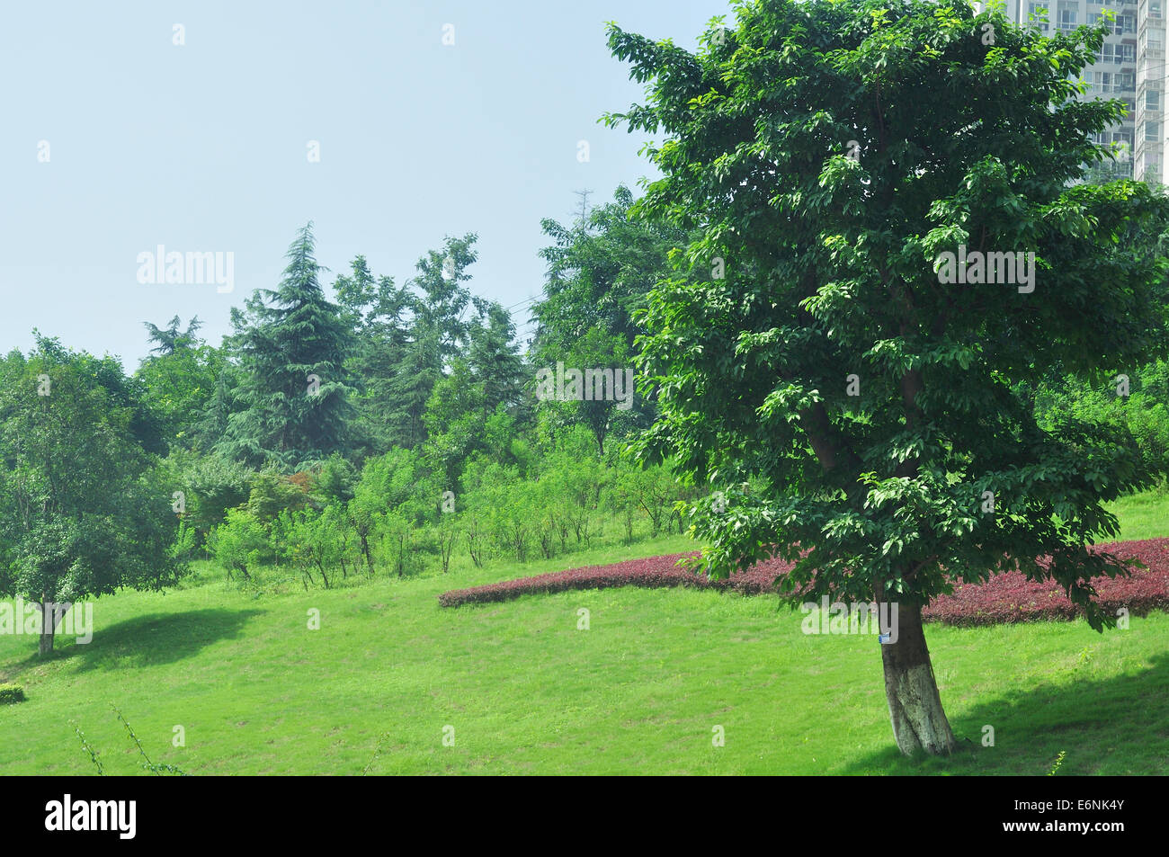 Peaceful parkland hi-res stock photography and images - Alamy
