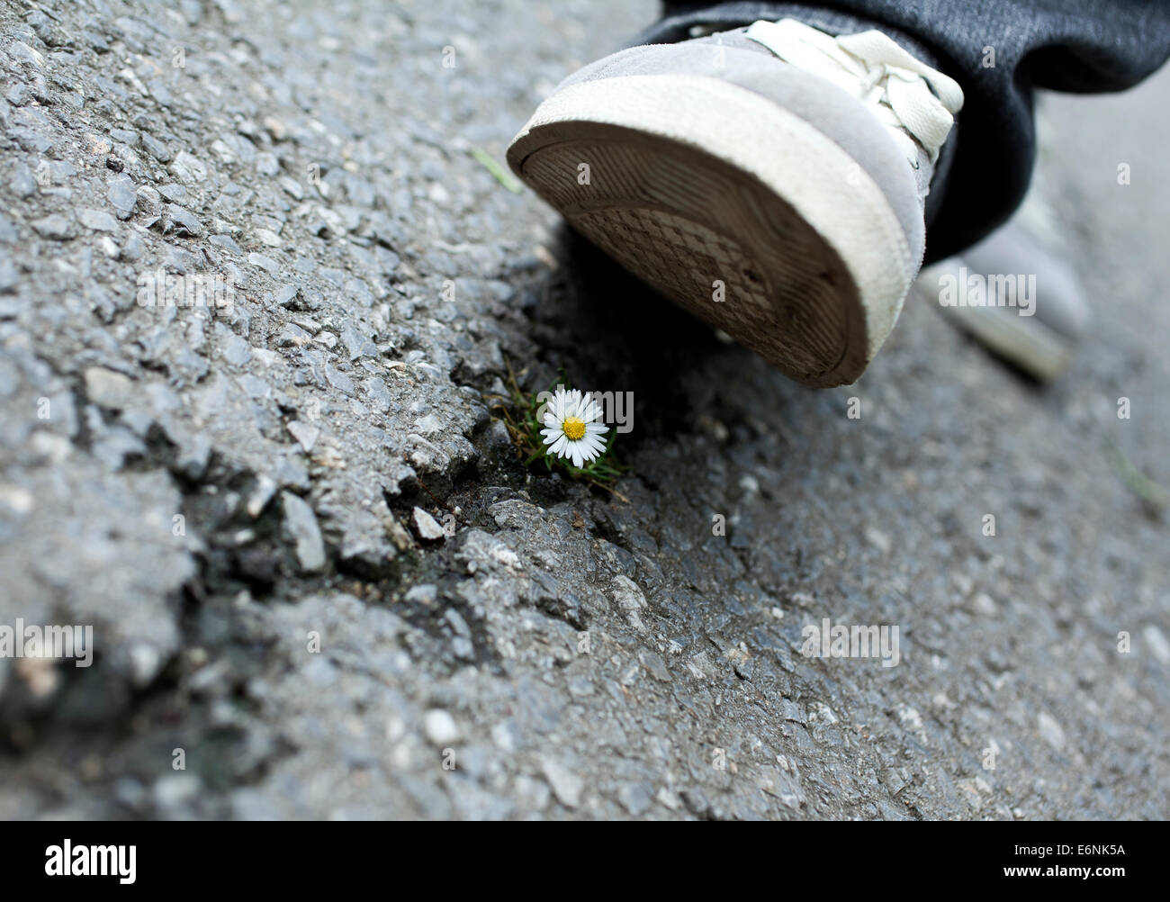 Environment danger concept idea with booth crushing flower Stock Photo