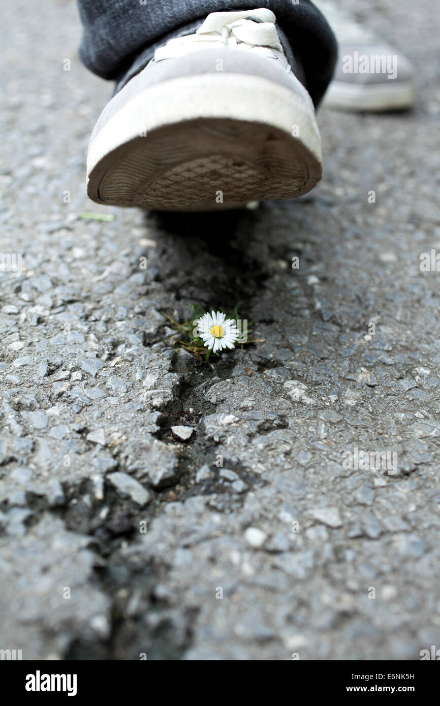 Environment danger concept idea with booth crushing flower Stock Photo