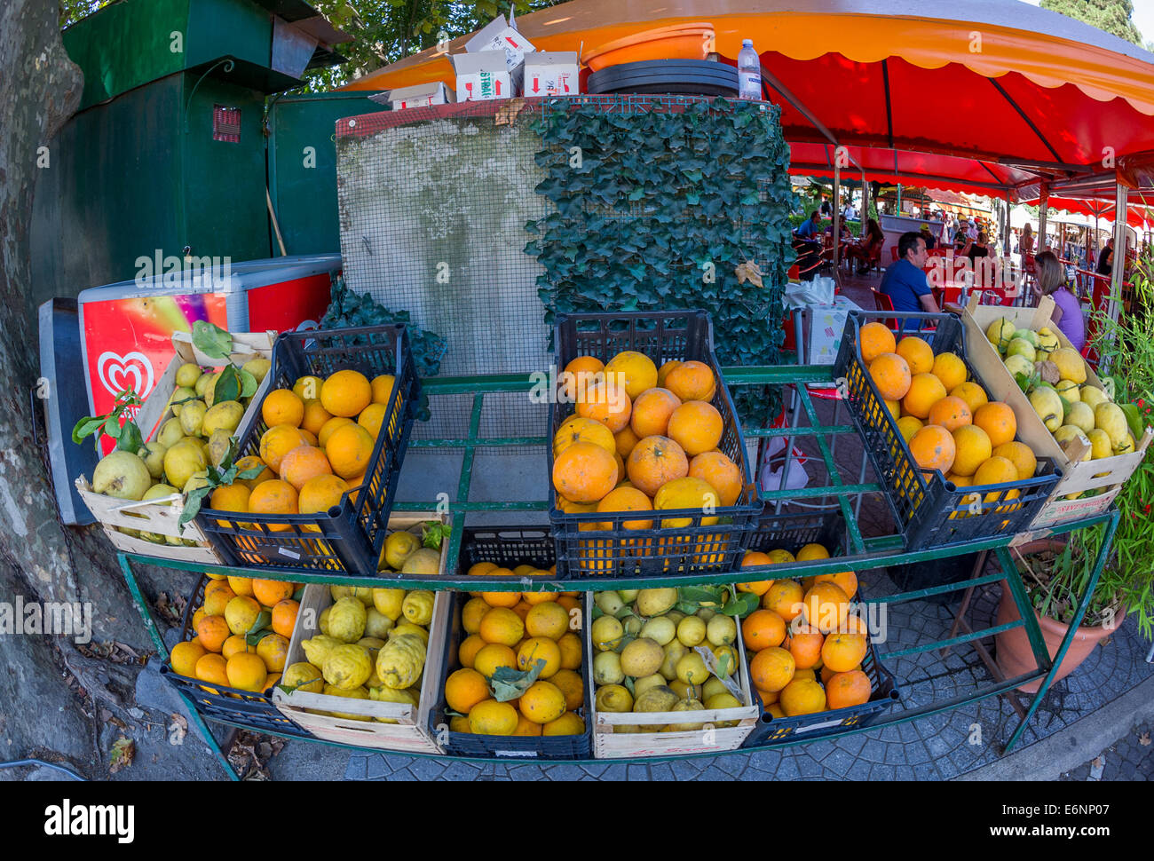 Lemons And Oranges In Plastic Crates For Sale Stock Photo Alamy