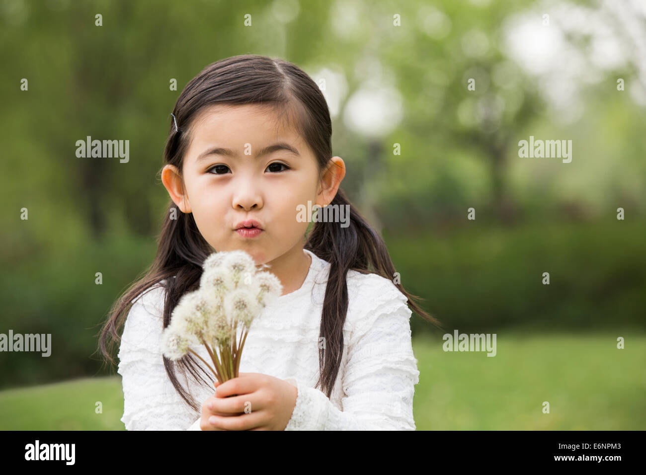 Cute girl with dandelion Stock Photo - Alamy