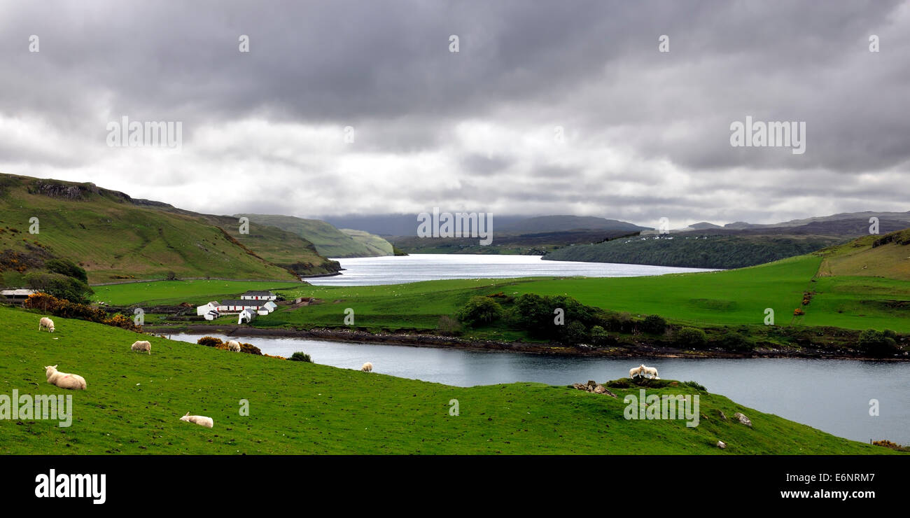 Gesto farm nestling between Lochs Beag and Harport, Bracadale, Isle of Skye, Scotland Stock Photo