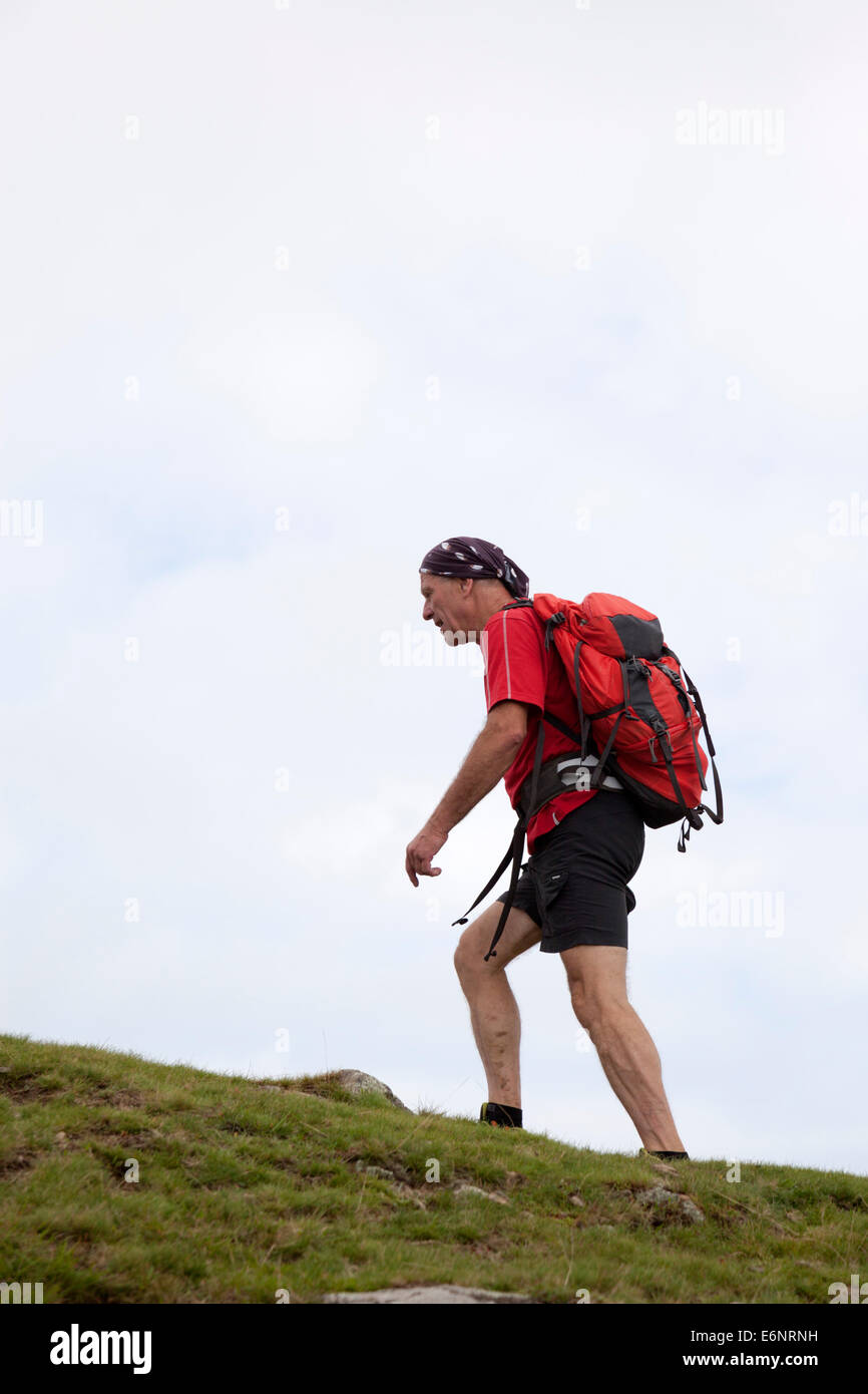 In the inner French Basque country, a senior hiker - with bandanna - heading towards the Baïgoura summit (2,942 feet). Stock Photo