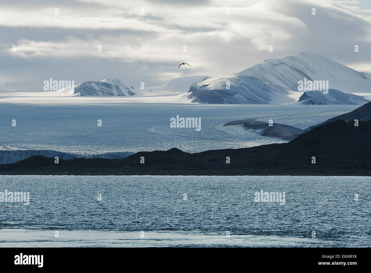 Icy mountain scenery with glacier and bird, 23 August 2012 Stock Photo