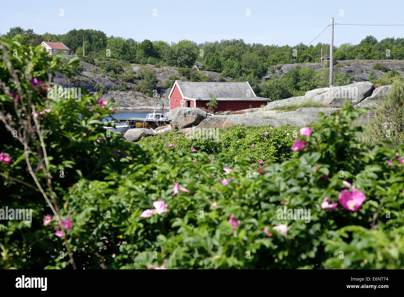 Idyllic scenery of water and cottages in Hvasserveien, which belongs to the municipality of Sandefjord in Norway. Photo: Klaus Nowottnick Date: 01.06.2014 Stock Photo