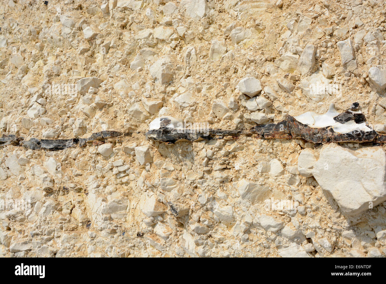 chalk sedimentary rock