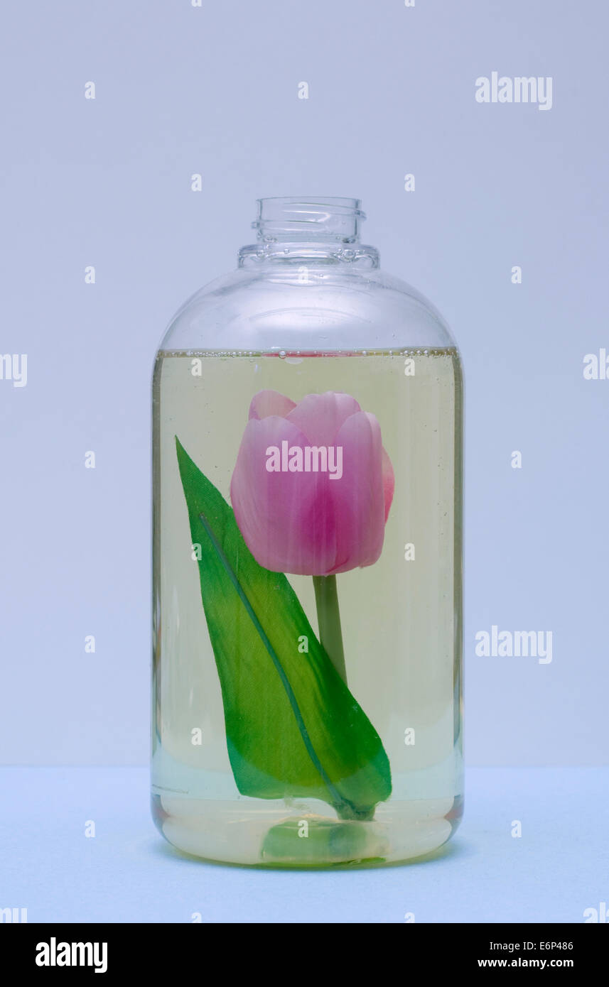 https://c8.alamy.com/comp/E6P486/liquid-soap-bottle-E6P486.jpg