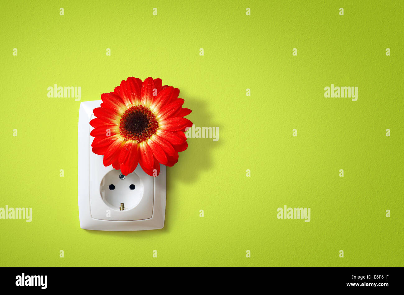 Flower in electric socket. Ecology concept of electricity friends with Nature. Stock Photo