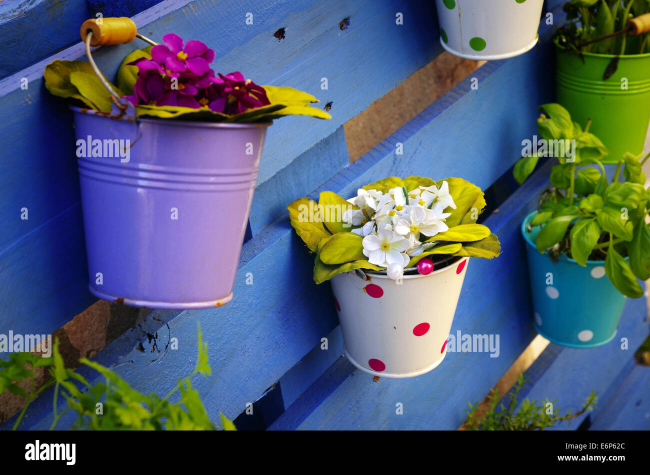 Colorful tin baskets with flowers hanged on blue wooden planks Stock Photo