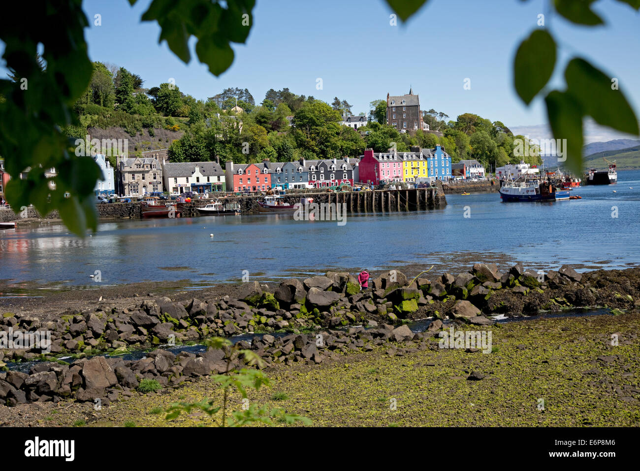 Colourful houses on quayside Tobermory harbour Isle of Mull Scotland