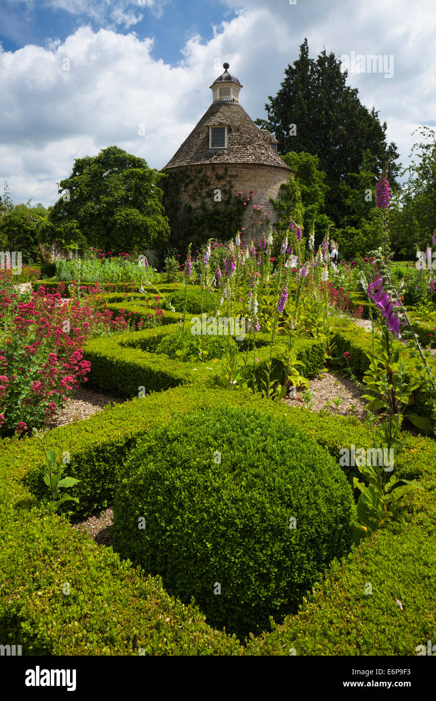 Box hedging and roses hi-res stock photography and images - Alamy