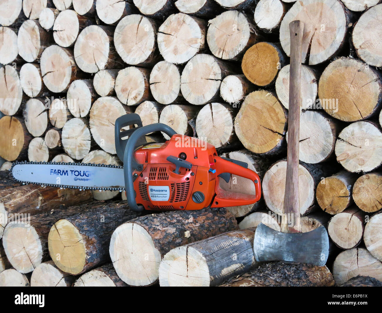 Chainsaw Against Firewood Pile, USA Stock Photo