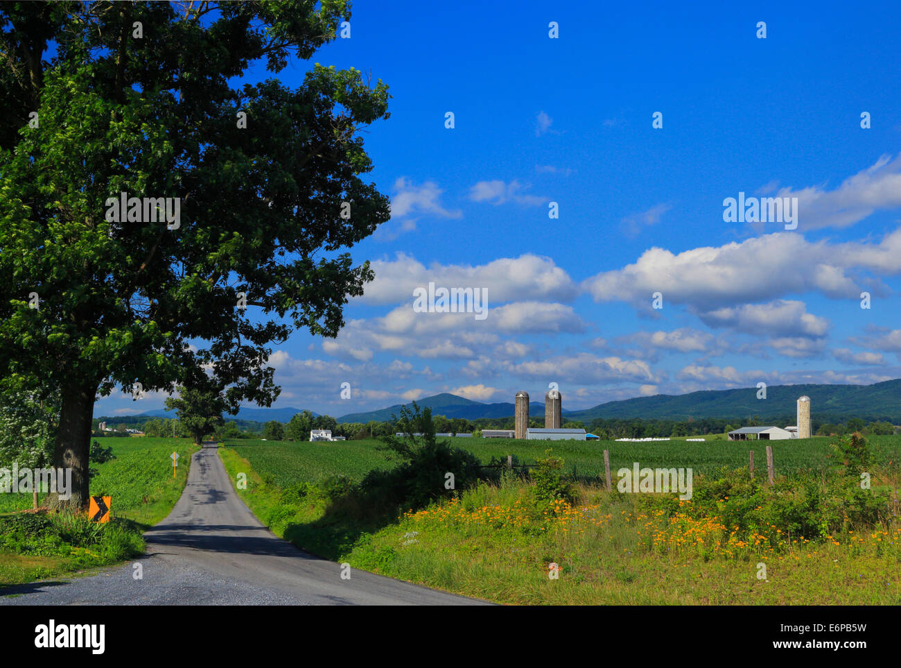 Country Road, Sangerville, Shenandoah Valley, Virginia, USA Stock Photo