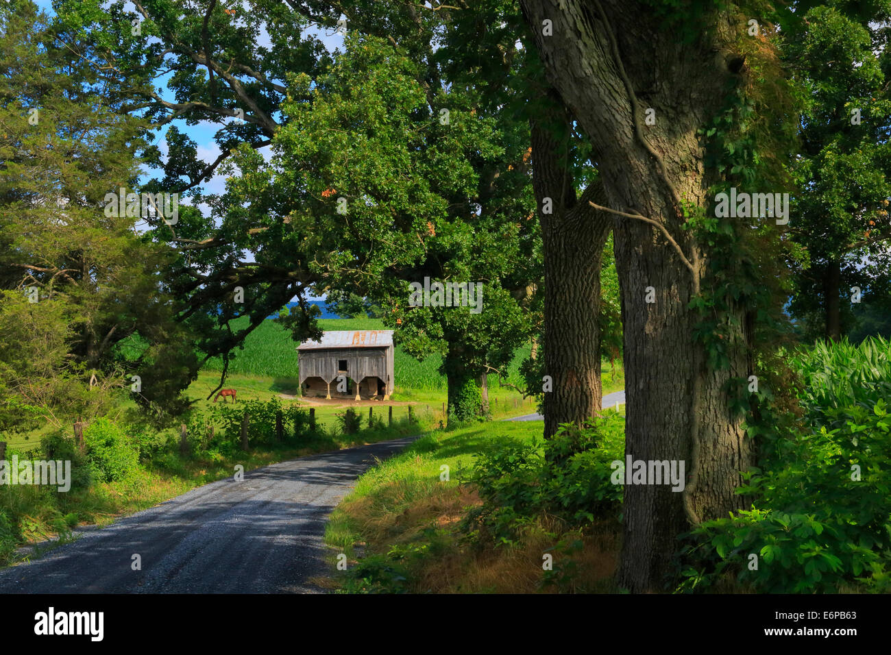 Valley farm road hires stock photography and images Alamy