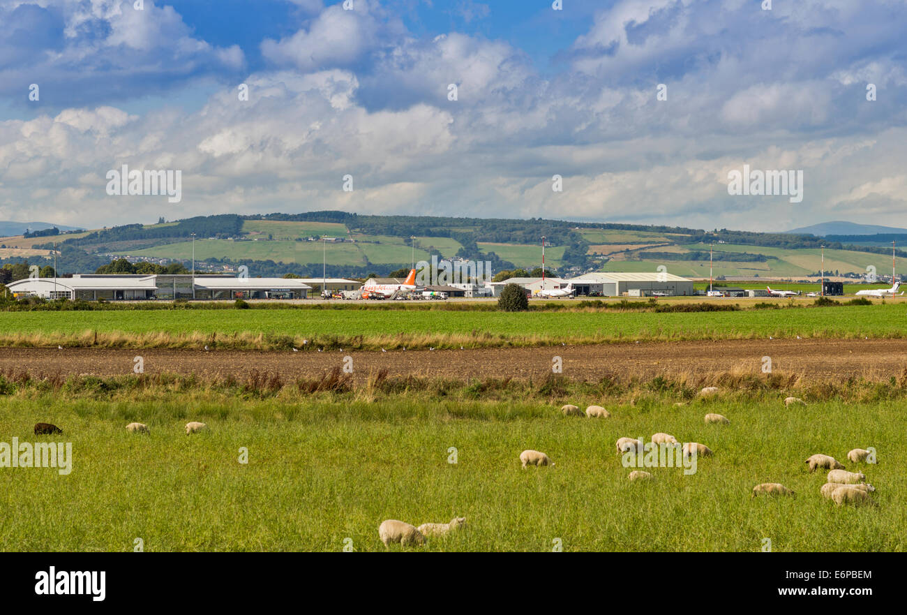 INVERNESS DALCROSS AIRPORT SCOTLAND AIRCRAFT ON THE TARMAC AND A FIELD WITH SHEEP Stock Photo