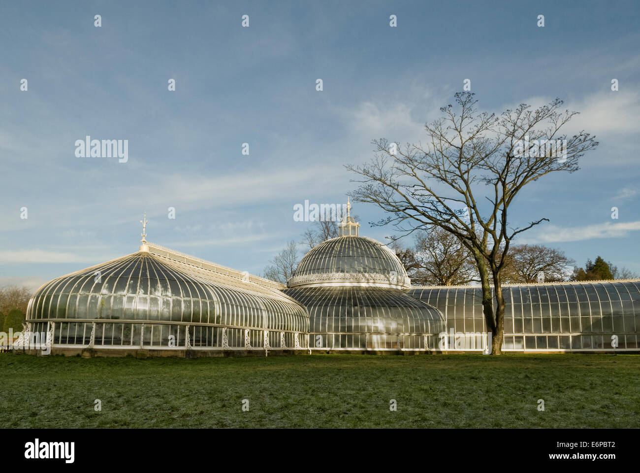 The Kibble Palace Glasgow Botanic Gardens. Stock Photo
