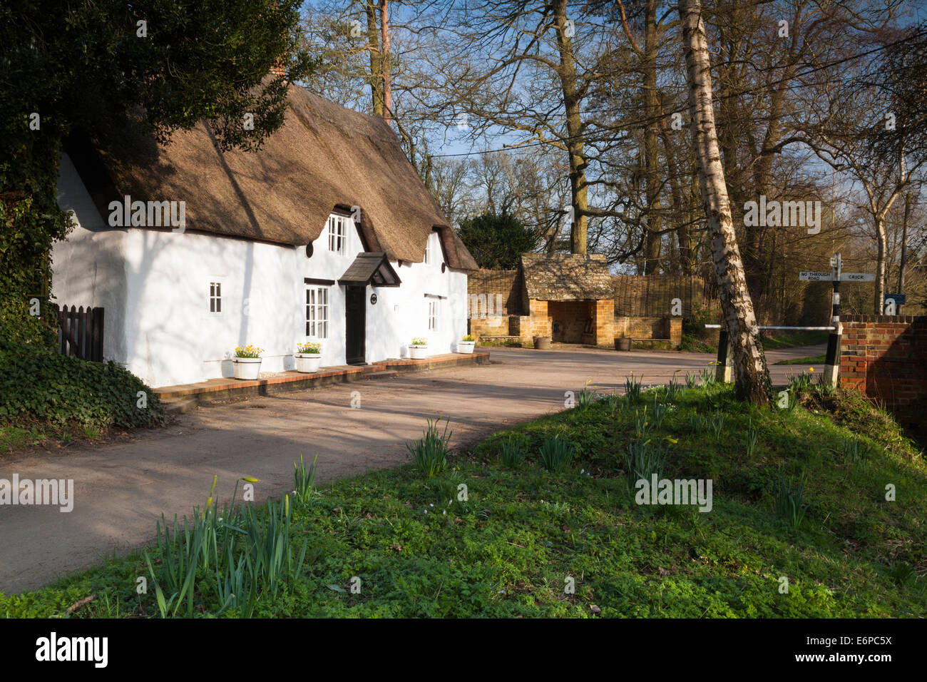 Daffodils brighten up the tiny and picturesque village of Winwick in Northamptonshire on a spring afternoon. Stock Photo