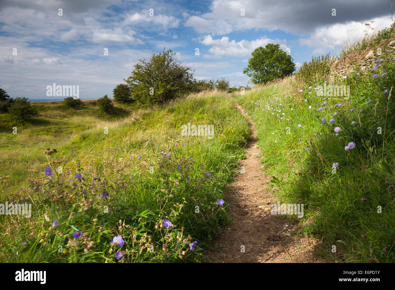 A narrow summery path winds its way among some old quarry workings and wildflowers near the Cotswolds village of Snowshill, Gloucestershire, England. Stock Photo