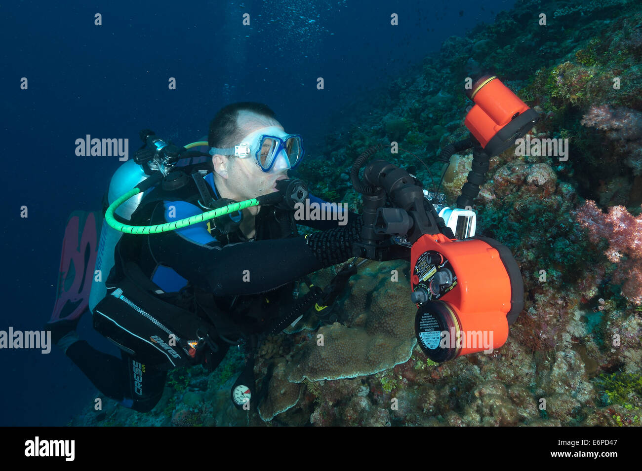 Underwater photographer in Maldives, Indian Ocean Stock Photo Alamy