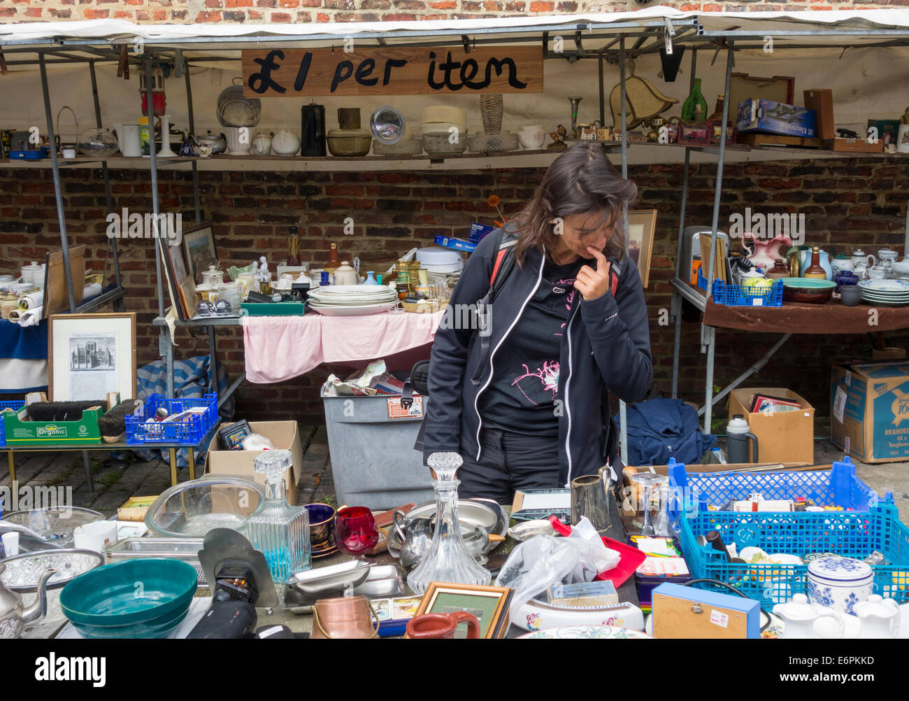 Flea uk hires stock photography and images Alamy