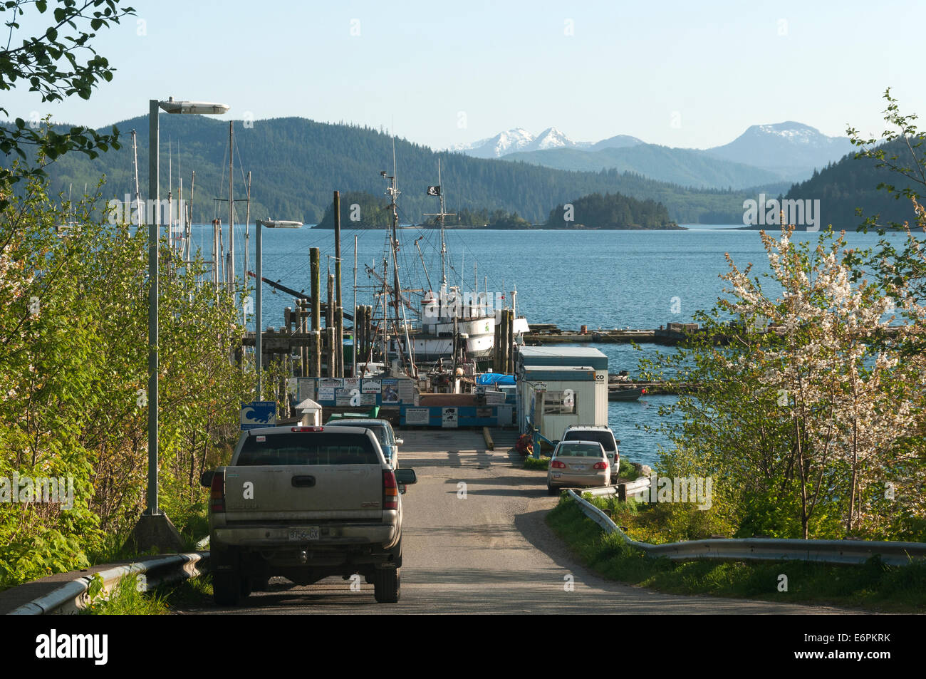Elk2034475 Canada, British Columbia, Haida Gwaii, Queen Charlotte