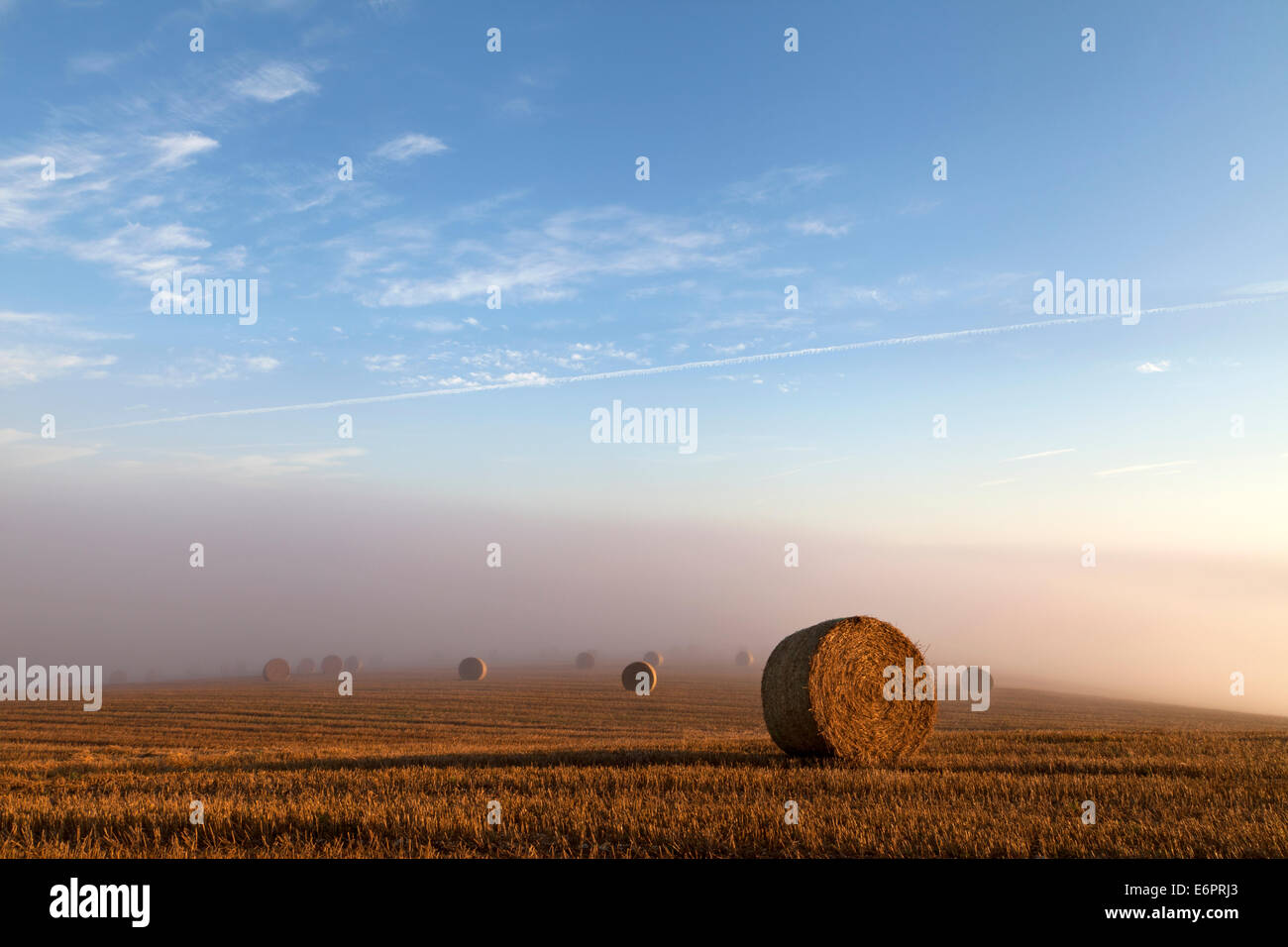 Stapleford wiltshire hires stock photography and images Alamy
