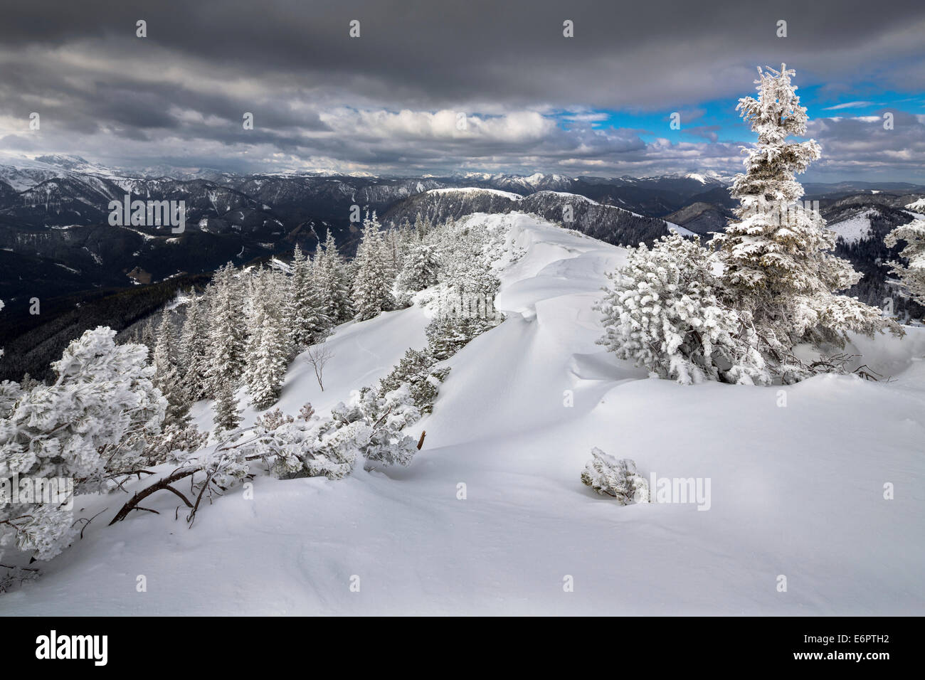 Mt Wildkamm with a winter forest covered in deep snow, Niederalpl, Mürzsteg Alps, Styria, Austria Stock Photo
