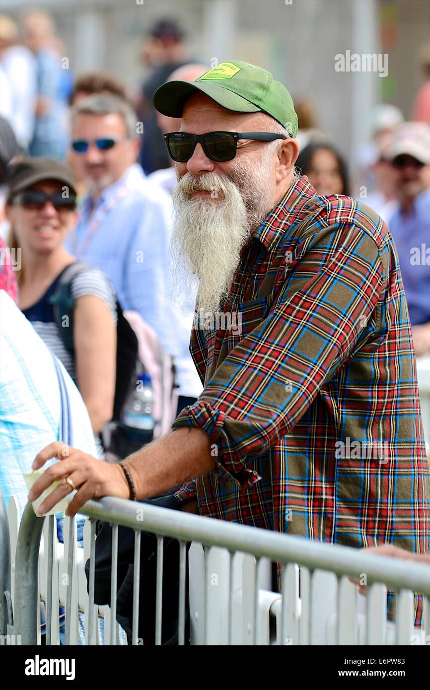 Seasick Steve at Chris Evans' CarFest South in aid of Children In Need Stock Photo
