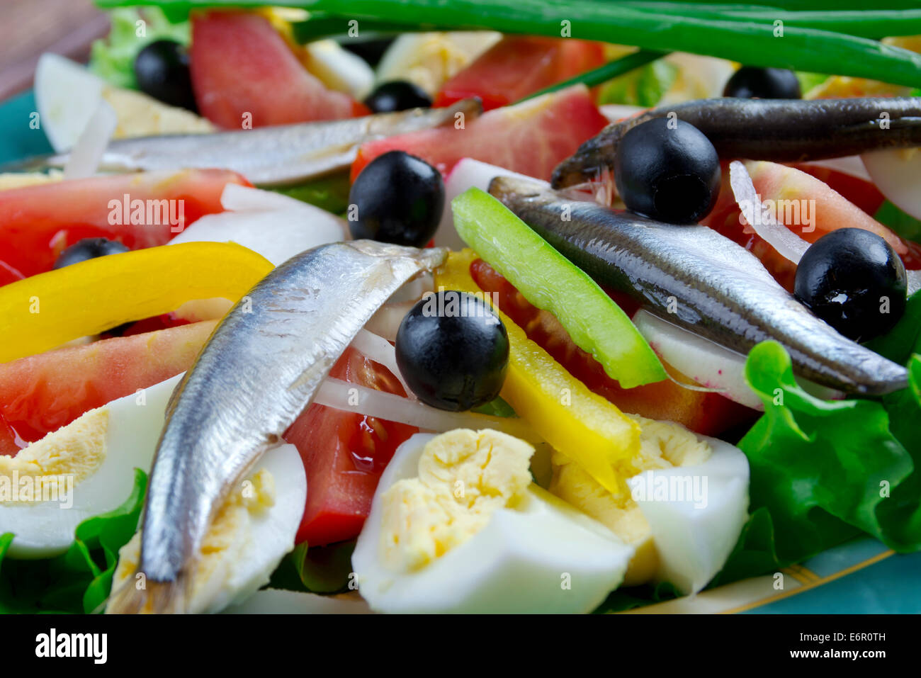 Nicoise Salad with anchovies composed salad of tomatoes, tuna, hard