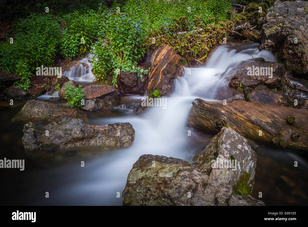 little fall Stock Photo