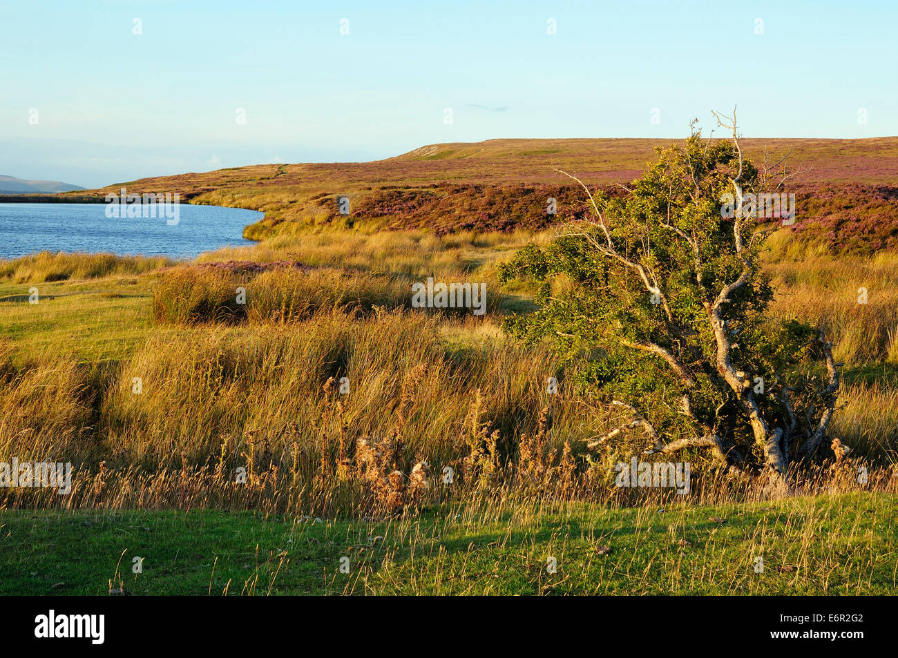 Evening Sun on Keepers Pond, Blorenge above Abergavenny Stock Photo Alamy