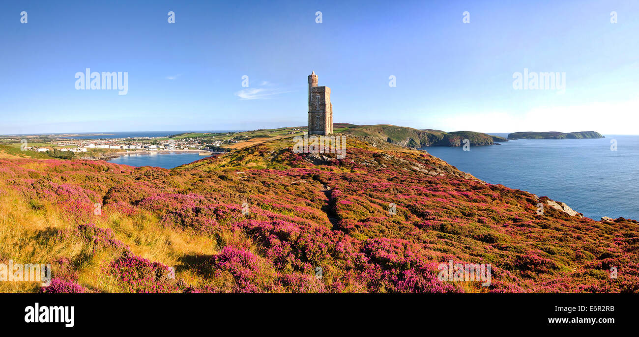 Heather in Bloom on Brada Head. Panorama of South of the Isle of Man with Milner Tower. Port Erin on the Right and Calf of Mann Stock Photo