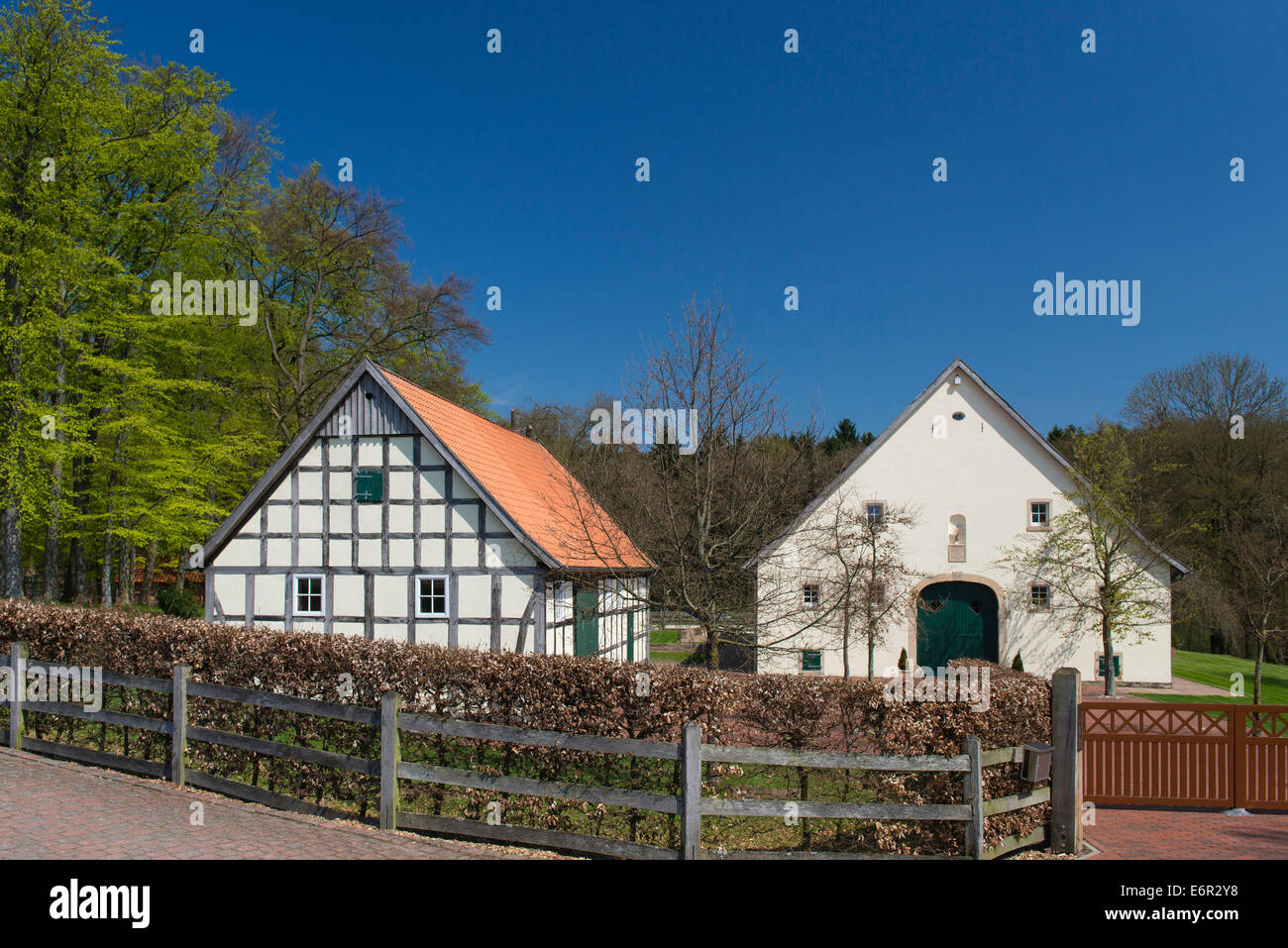 farm house, bexadde-tal, damme, vechta district, oldenburger münsterland, lower saxony, germany Stock Photo