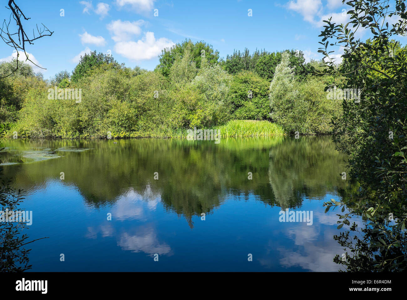 Summer scene reflections of trees sky in lake water Milton Country Park Stock Photo