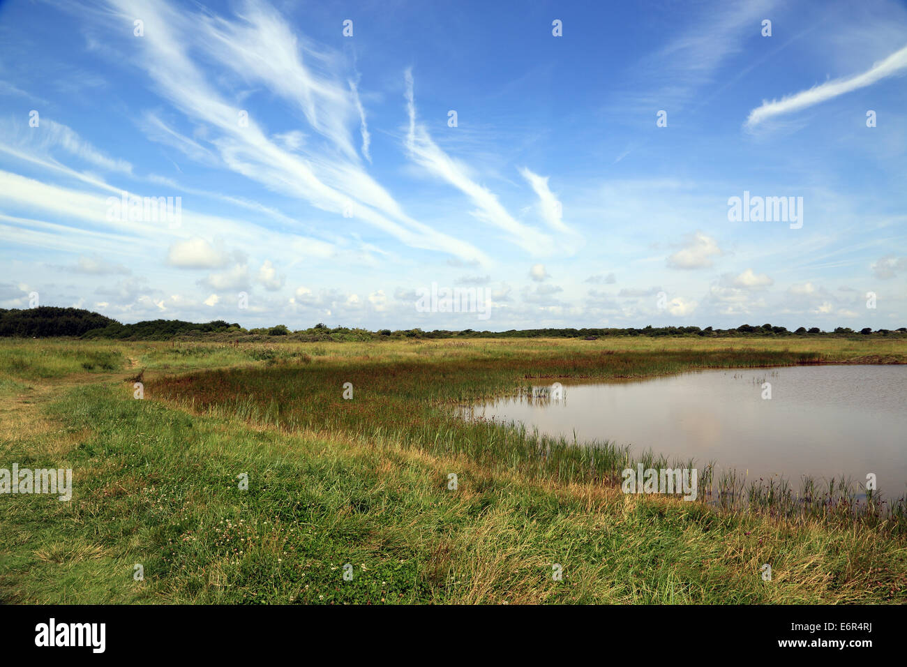 Baie de l'Authie, Fort Mahon Plage, Somme, Picardy, France Stock Photo