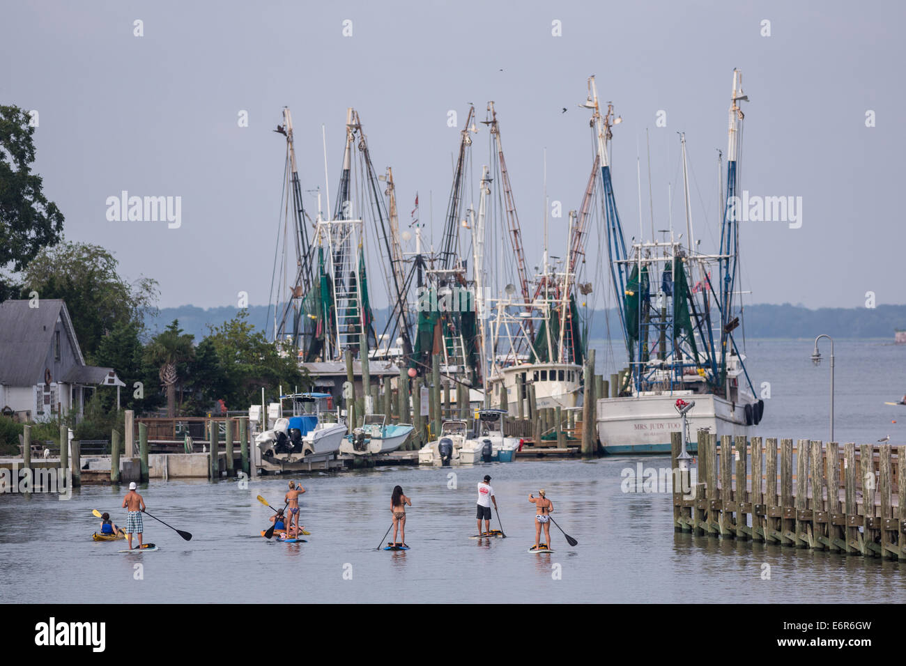 People use stand up paddle boards on Shem Creek in Mt Pleasant, SC