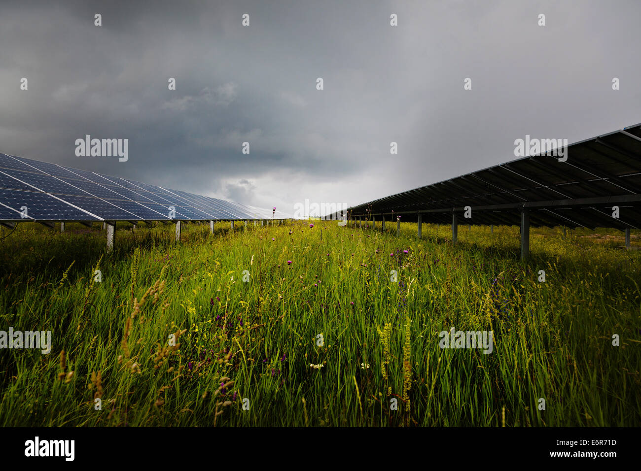 Power plant using renewable solar energy Stock Photo - Alamy