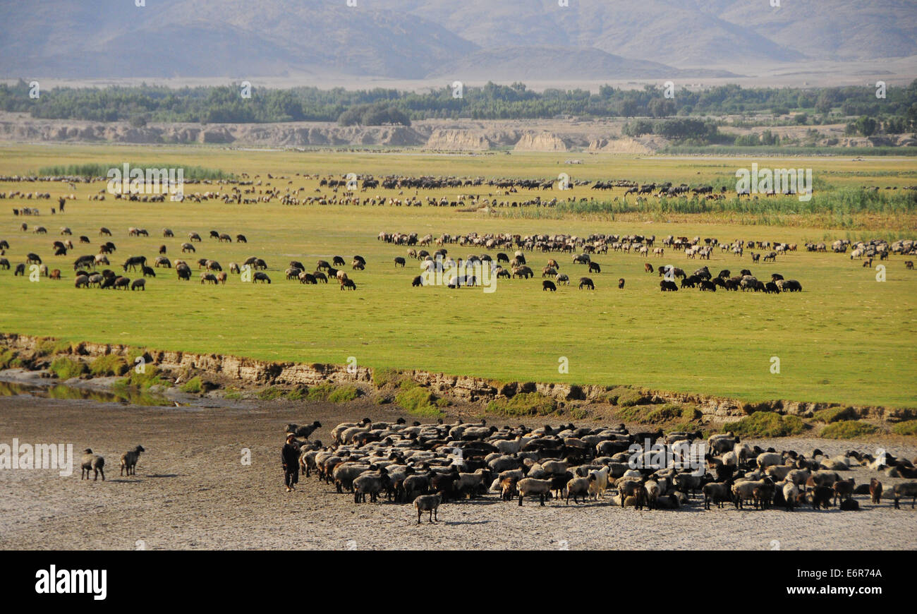 Laghman High Resolution Stock Photography and Images - Alamy