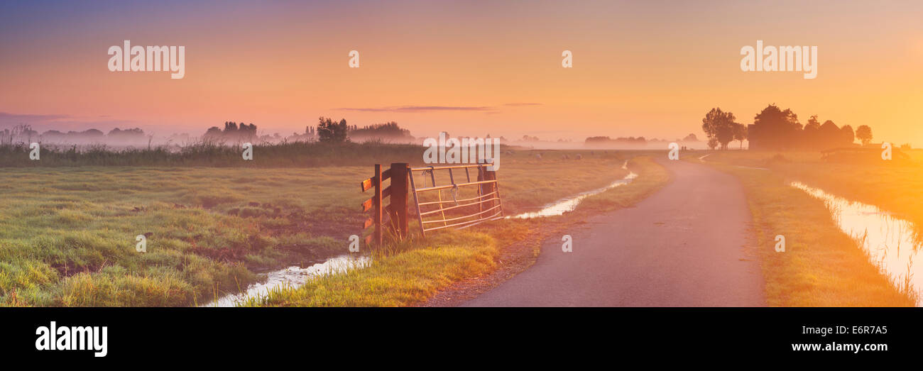 Typical Dutch countryside on a beautiful foggy morning at sunrise. Stock Photo